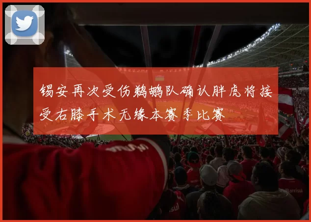 锡安再次受伤鹈鹕队确认胖虎将接受右膝手术无缘本赛季比赛