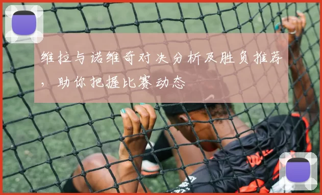 维拉与诺维奇对决分析及胜负推荐，助你把握比赛动态