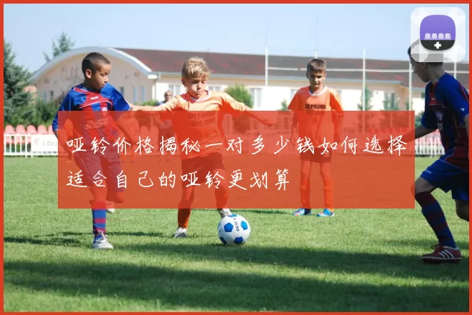 哑铃价格揭秘一对多少钱如何选择适合自己的哑铃更划算