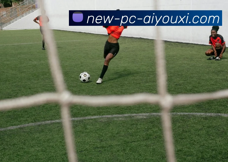 爱游戏服务体系